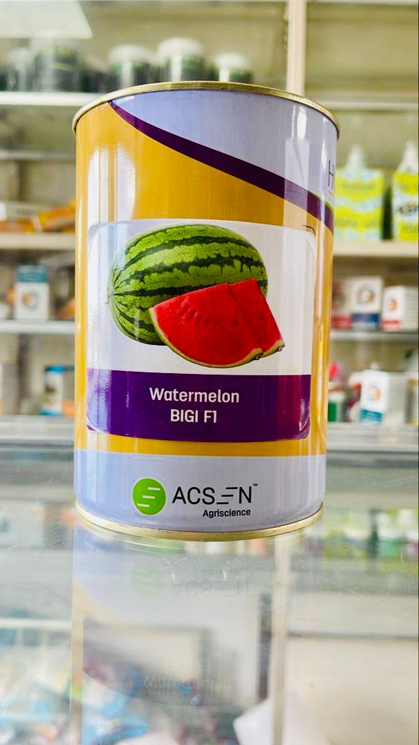 Water Melon Bigi F1  250g