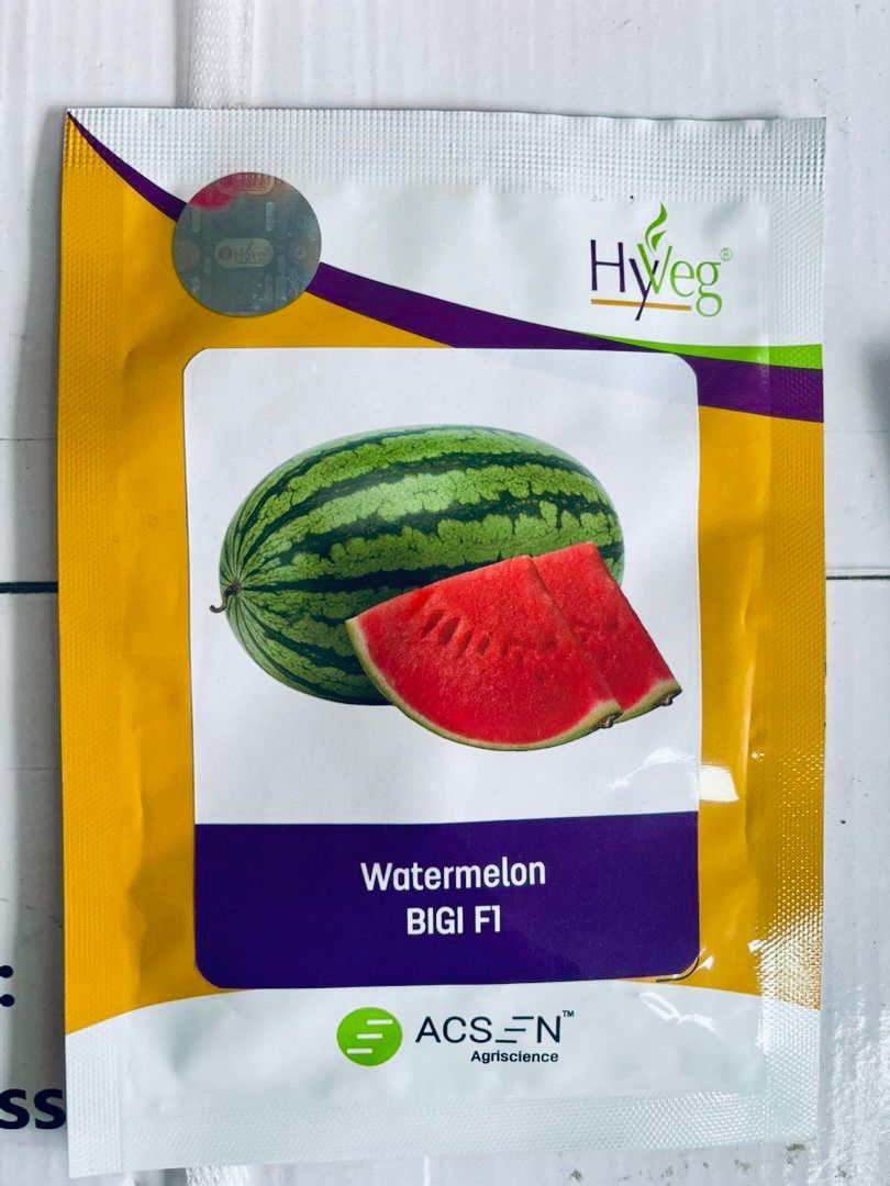 Water Melon Bigi F1  10g