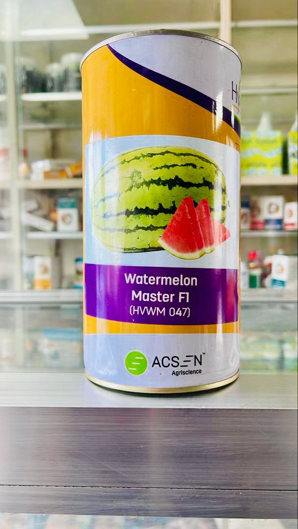 Water Melon Master F1  500g