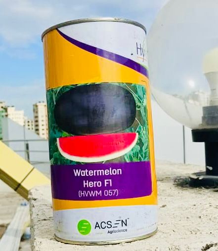 Water Melon Hero F1  500g
