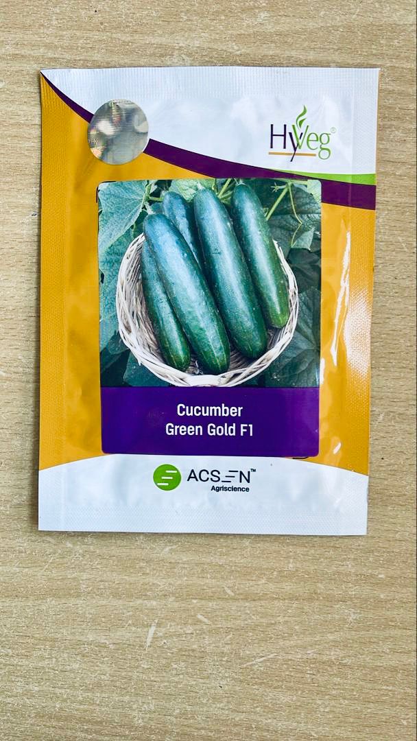 Cucumber Green Gold F1  10g