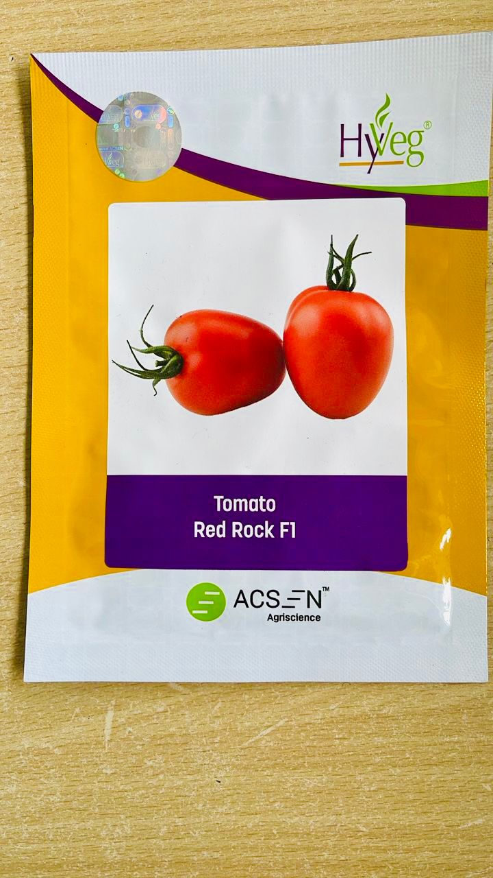 Tomato Red Rock F1  5g