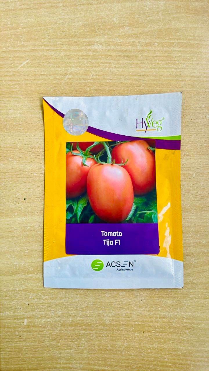 Tomato Tija  F1  50g