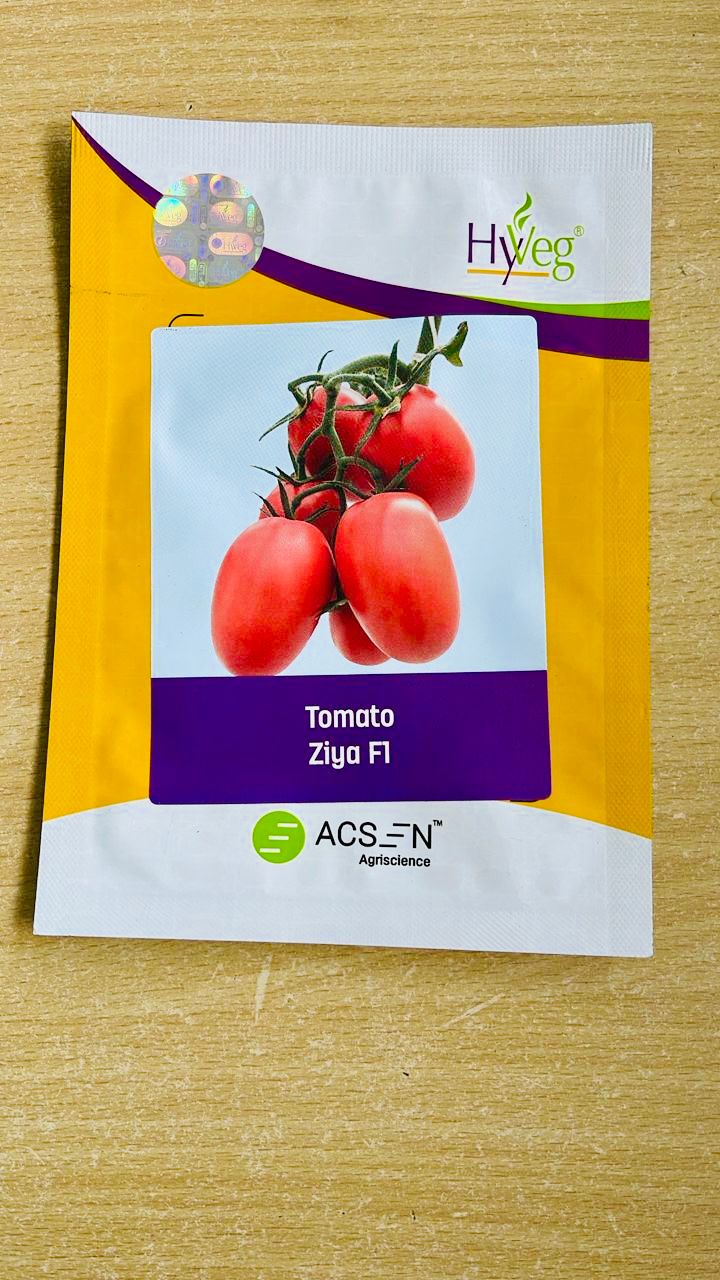 Tomato Ziya  F1  25g