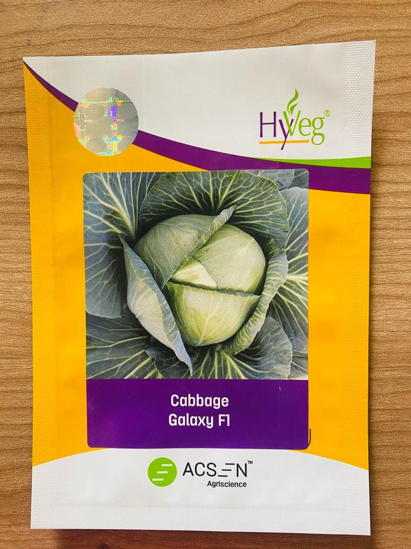 Cabbage Galaxy F1  100g