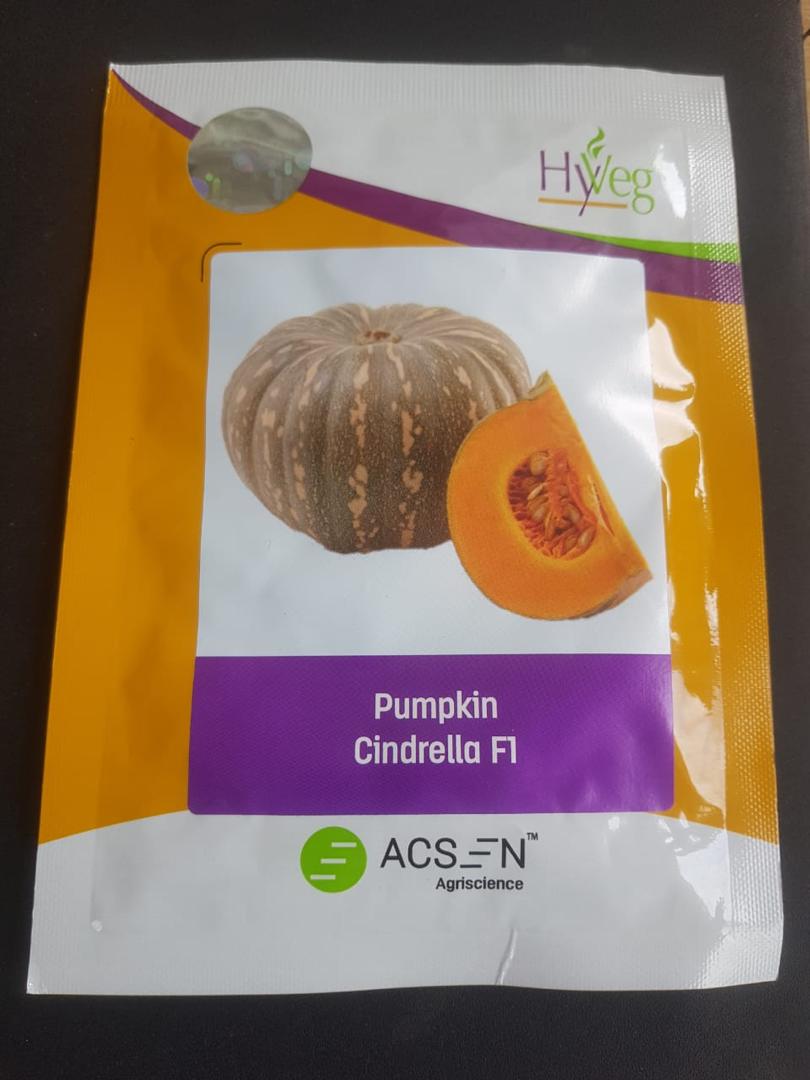 Pumpkin Cindrella  F1  50g
