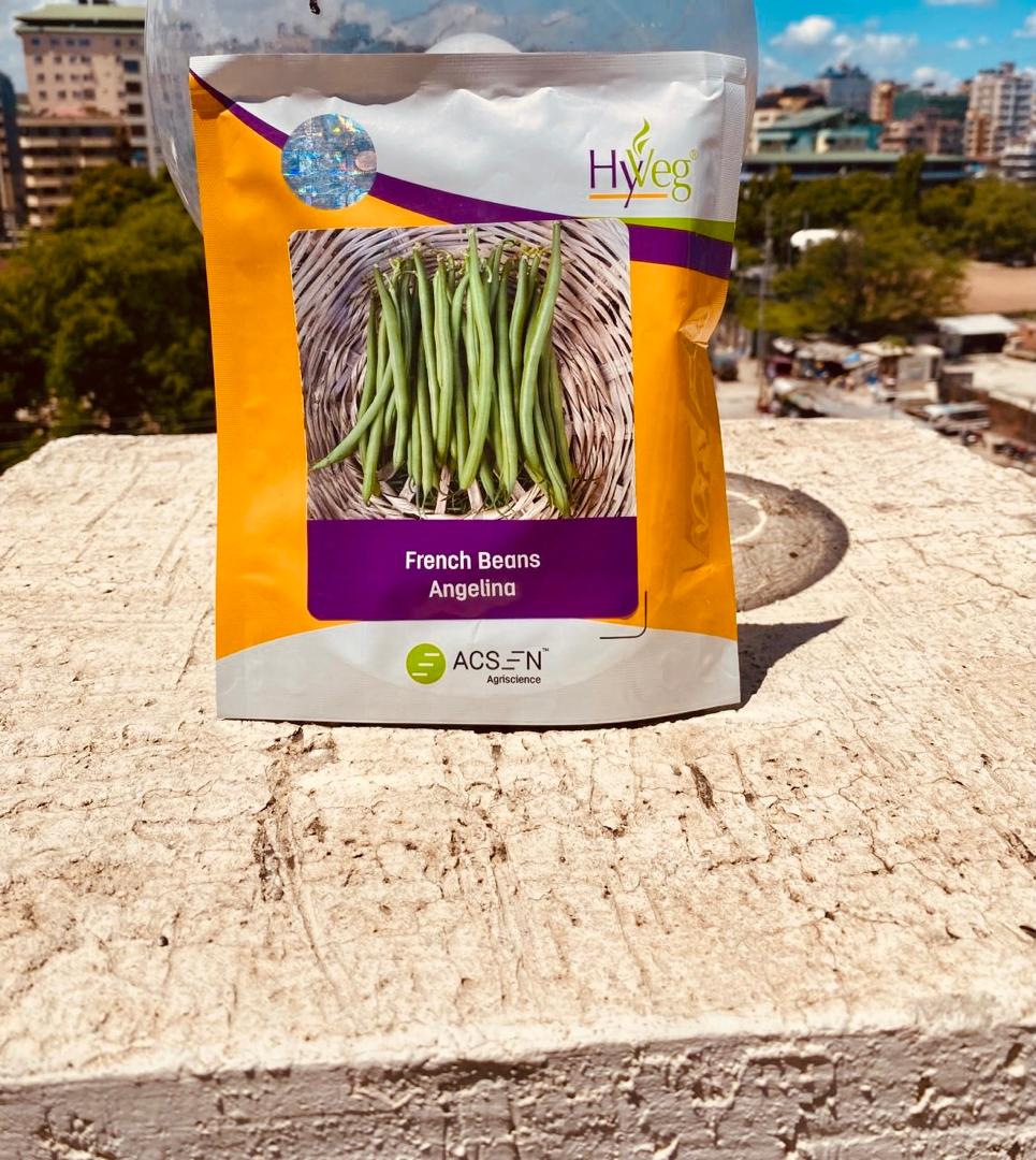 French Beans Angelina  500g